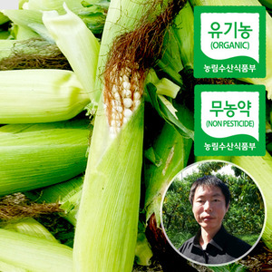 [산지직송]김현상님의 유기농 무농약 초당옥수수 찰옥수수